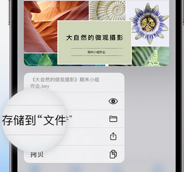 西双版纳apple维修中心分享iPhone文件应用中存储和找到下载文件