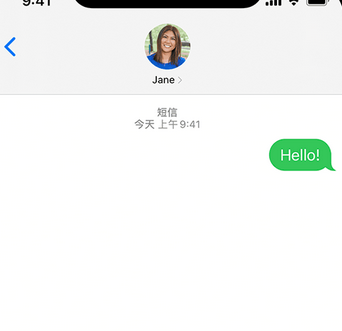 西双版纳apple维修iPhone上无法正常发送iMessage信息