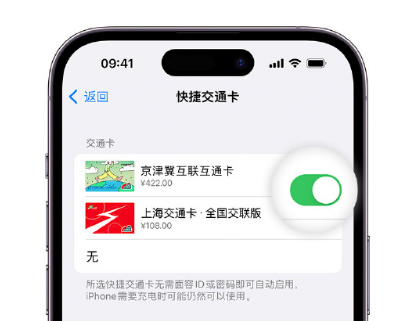 西双版纳apple维修点分享iPhone上更换Apple Pay快捷交通卡手绘卡面 