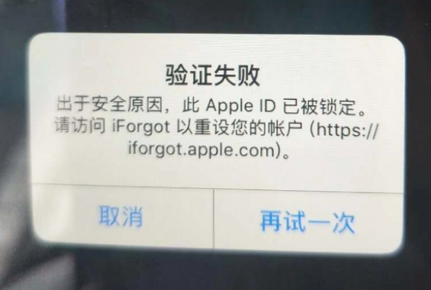 西双版纳iPhone维修分享iPhone上正常登录或使用AppleID怎么办 