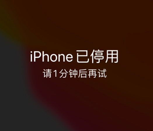 西双版纳苹果手机维修分享:iPhone 显示“不可用”或“已停用”怎么办？还能保留数据吗？ 