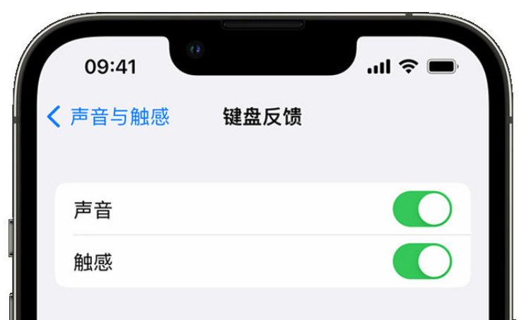 西双版纳苹果手机维修分享iPhone 14触感键盘使用方法 