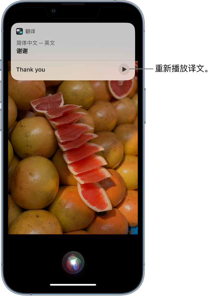 西双版纳苹果14维修分享 iPhone 14 机型中使用 Siri：了解 Siri 能帮你做什么 