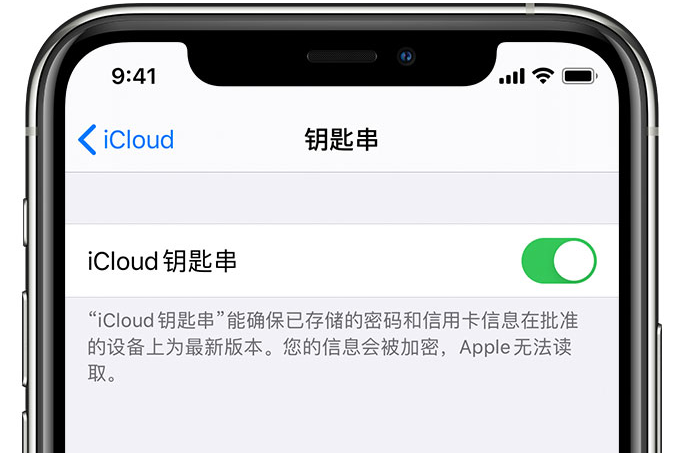 西双版纳苹果手机维修分享在 iPhone 上开启 iCloud 钥匙串之后会储存哪些信息 