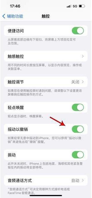 西双版纳苹果手机维修分享iPhone手机如何设置摇一摇删除文字 